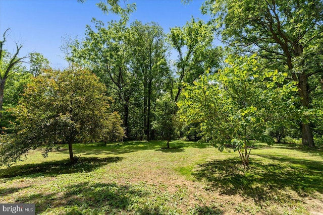 38577 Goose Creek Ln, Leesburg, VA 20175 - view of grassy yard