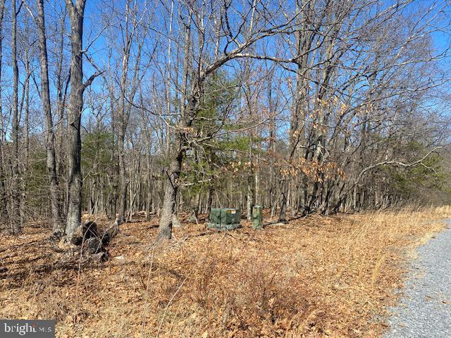 Listing photo 3 for TBD Marigold, Gerrardstown WV 25420