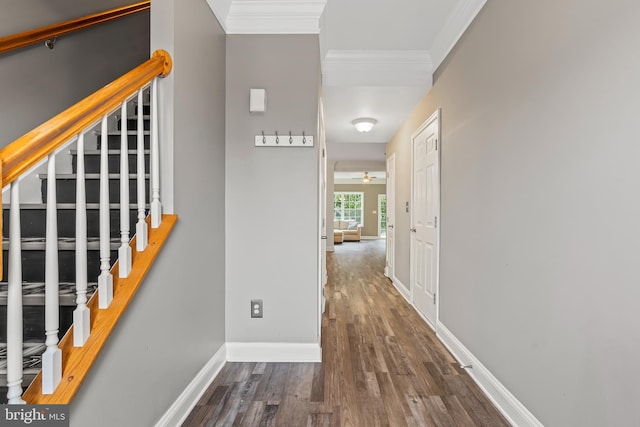 corridor featuring stairway, wood finished floors, baseboards, and ornamental molding