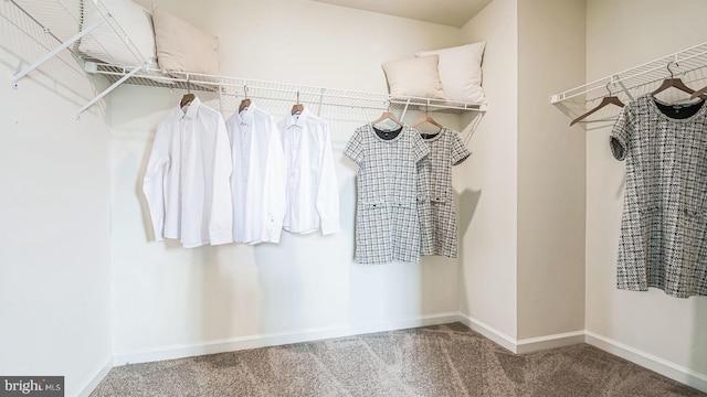 spacious closet with carpet flooring