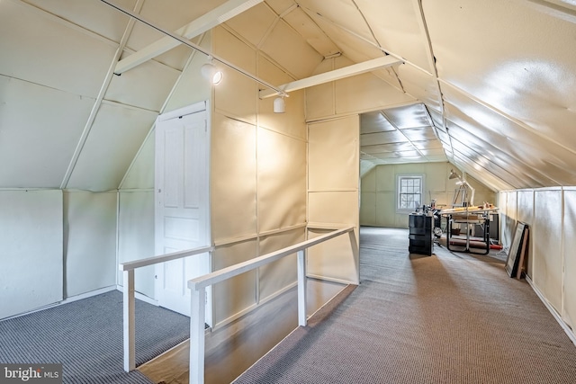 additional living space with vaulted ceiling and carpet floors