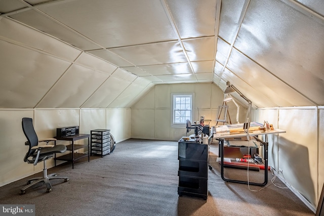 additional living space with carpet and vaulted ceiling