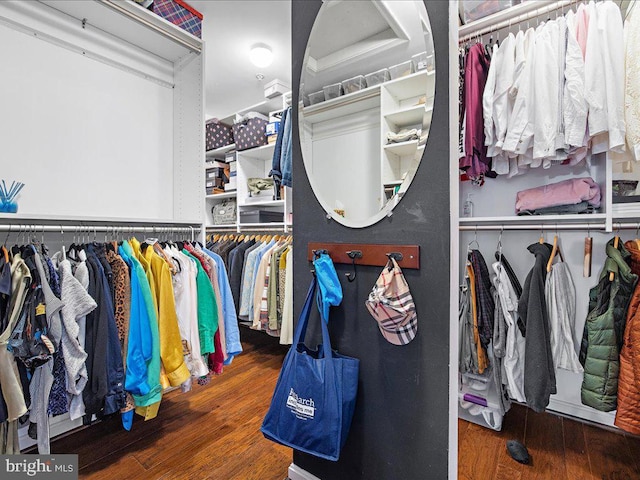 walk in closet with wood finished floors