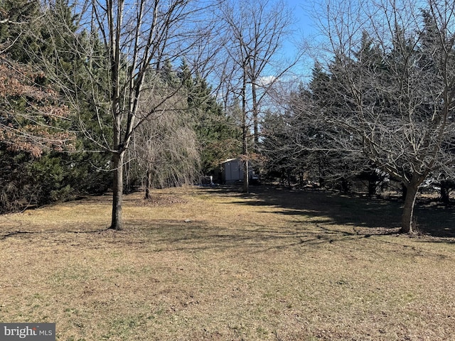 view of yard featuring an outdoor structure and a shed