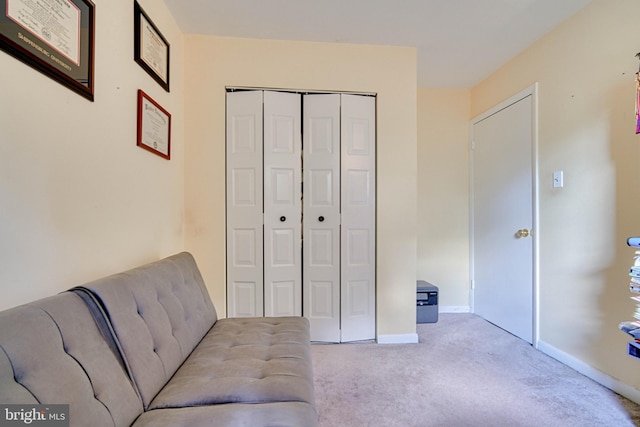 living area featuring baseboards and carpet