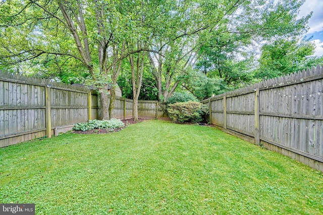 view of yard with a fenced backyard