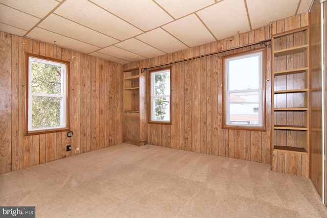 empty room featuring carpet flooring, a healthy amount of sunlight, and wood walls