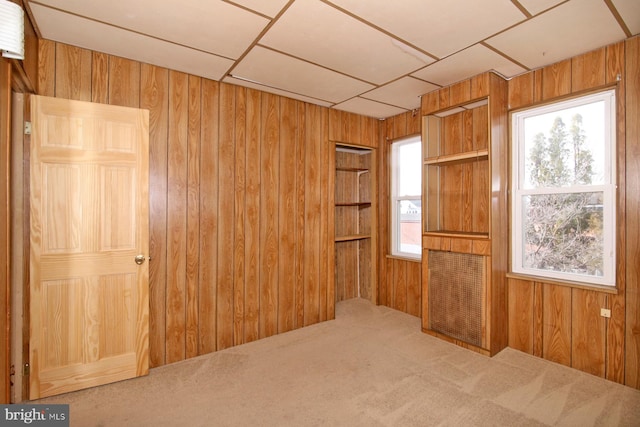 carpeted empty room with wooden walls