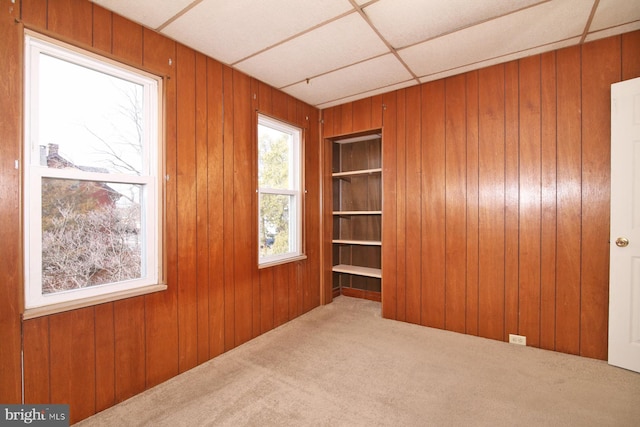 spare room featuring wooden walls and carpet flooring