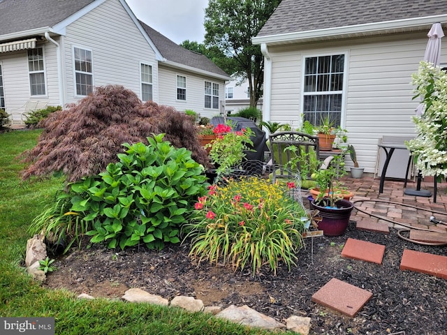 view of yard with a patio area