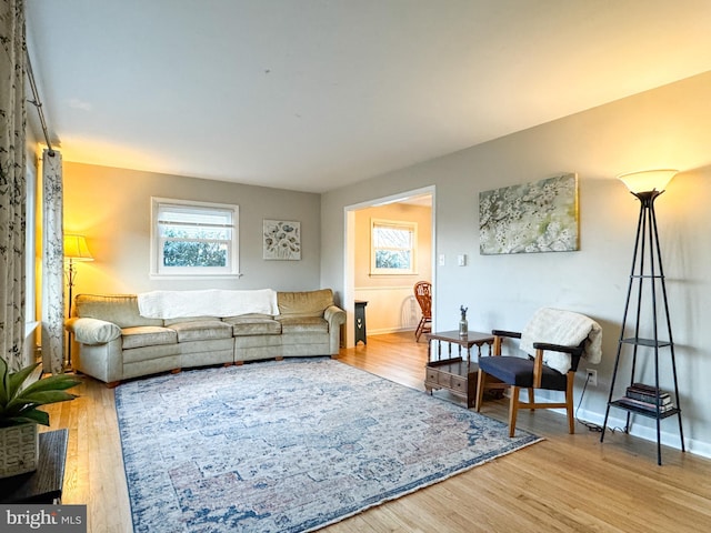 living room featuring baseboards and wood finished floors