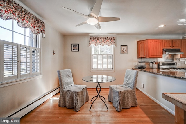 sitting room with a baseboard heating unit, light wood finished floors, plenty of natural light, and baseboards