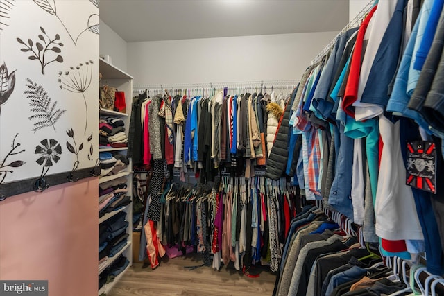 walk in closet with wood finished floors