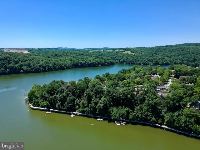 birds eye view of property featuring a view of trees and a water view