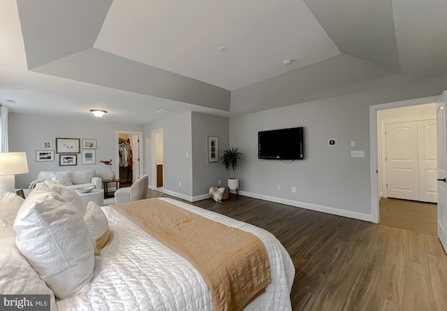 bedroom with a tray ceiling, a spacious closet, wood finished floors, and baseboards