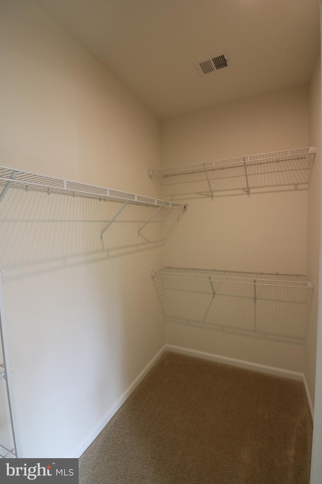 walk in closet featuring carpet and visible vents