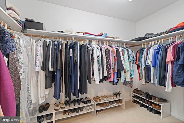 spacious closet with carpet floors