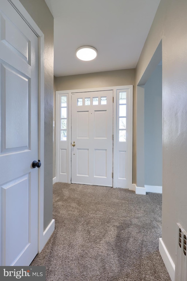 foyer featuring a wealth of natural light, baseboards, and carpet flooring