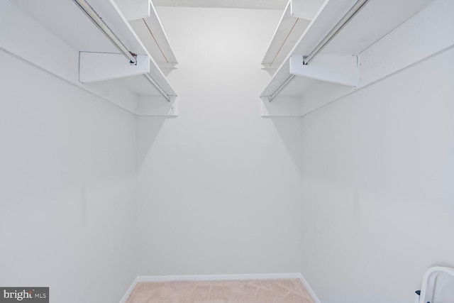 walk in closet with light carpet