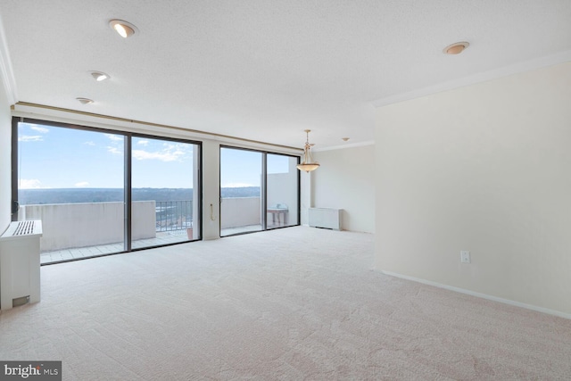 carpeted empty room with expansive windows, baseboards, and ornamental molding