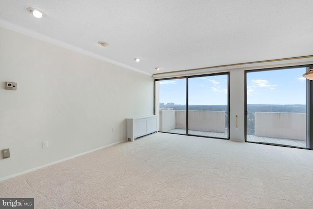 spare room featuring baseboards, carpet floors, ornamental molding, and expansive windows