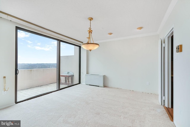 unfurnished room featuring crown molding and carpet