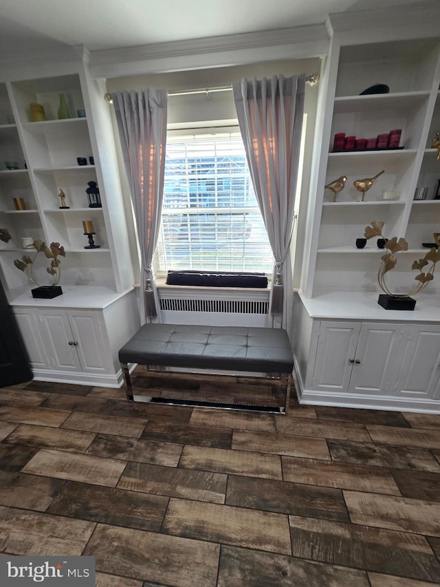 interior space with radiator heating unit and wood finished floors