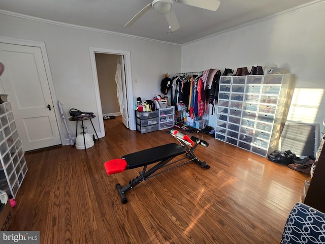 exercise room with crown molding, ceiling fan, and wood finished floors