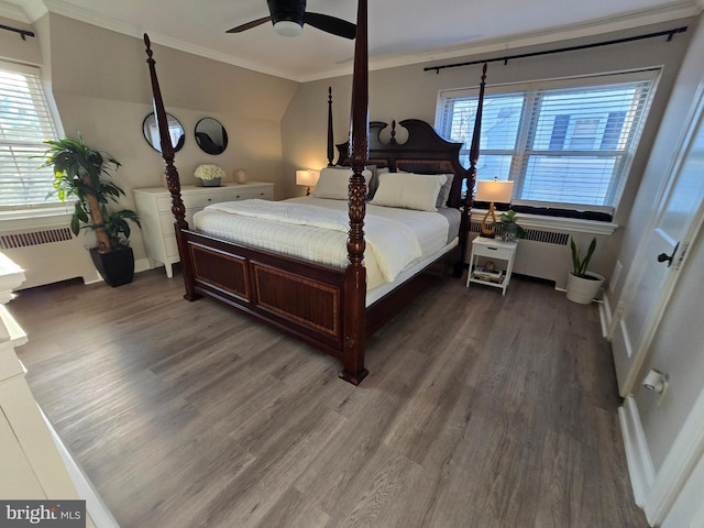 bedroom featuring multiple windows, ornamental molding, radiator heating unit, and wood finished floors