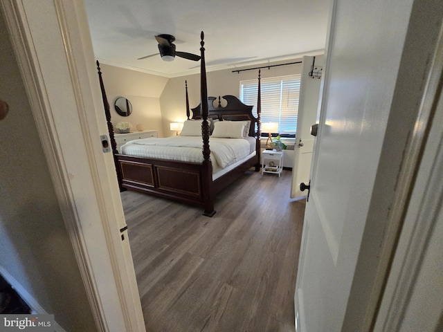 bedroom with crown molding, a ceiling fan, and wood finished floors