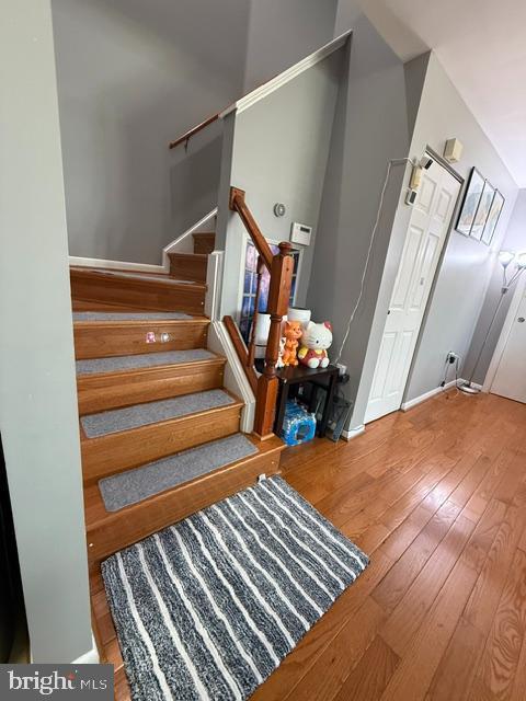 staircase with hardwood / wood-style flooring