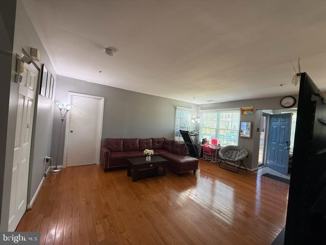 living room with hardwood / wood-style flooring