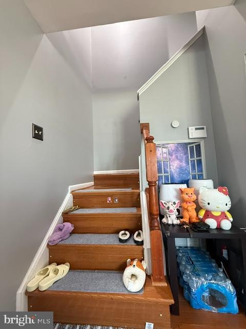 stairs featuring wood finished floors