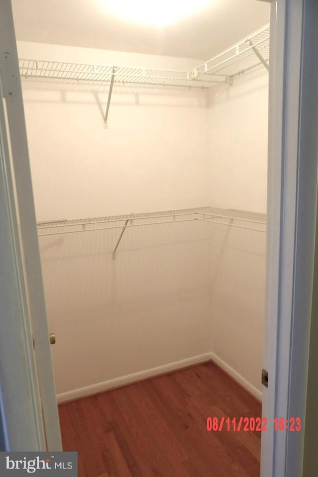 spacious closet featuring wood finished floors