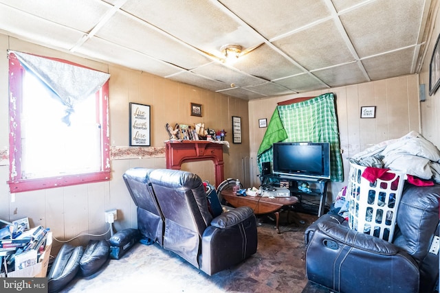 living area featuring wood walls