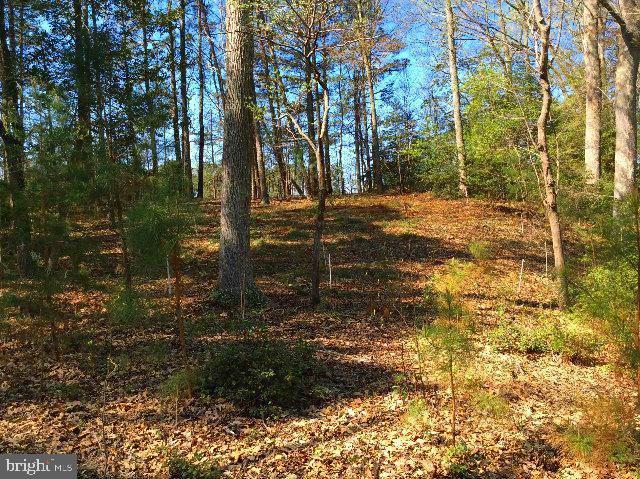 Listing photo 3 for LOT87 Steamboat Ln, Heathsville VA 22473