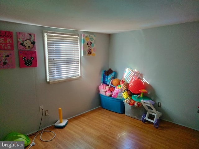 playroom featuring wood finished floors