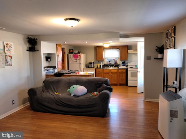 living room with baseboards and light wood-type flooring