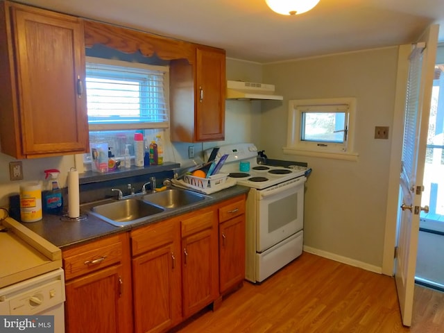 kitchen with white appliances, light wood-style flooring, a sink, under cabinet range hood, and dark countertops