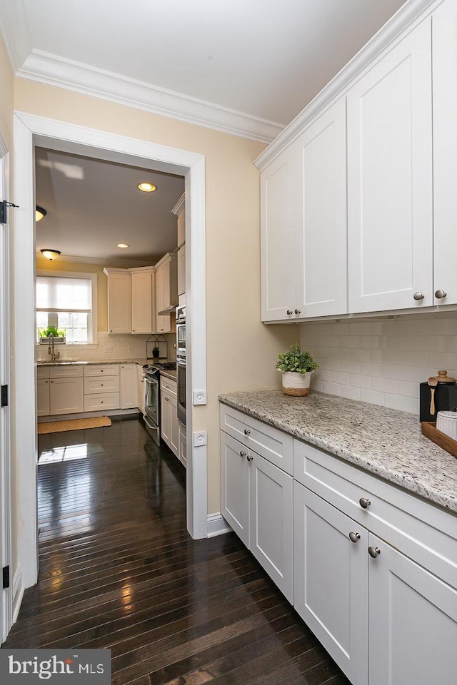 kitchen featuring dark wood finished floors, a sink, ornamental molding, stainless steel range oven, and tasteful backsplash