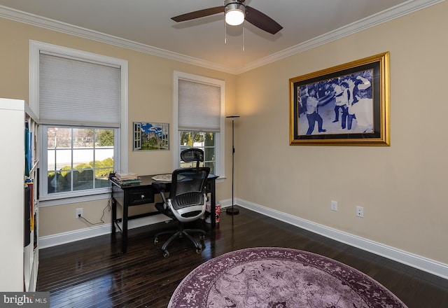 office space featuring crown molding, a healthy amount of sunlight, baseboards, and wood-type flooring