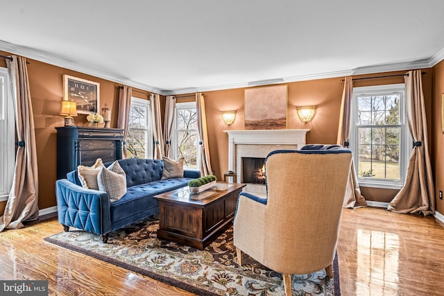 living room with ornamental molding, wood finished floors, baseboards, and a premium fireplace