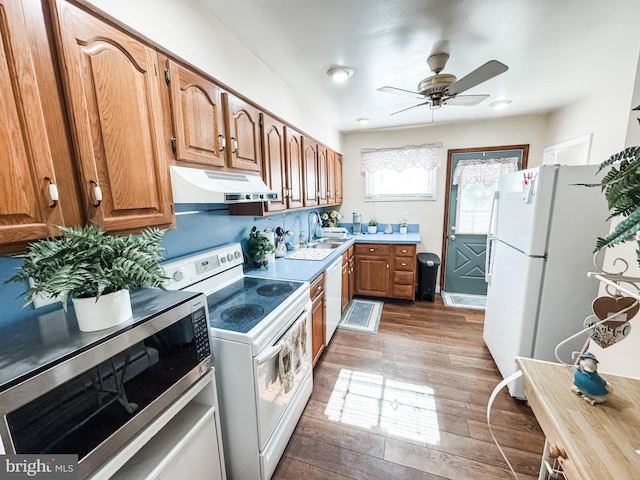 kitchen with brown cabinets, under cabinet range hood, a sink, wood finished floors, and white appliances