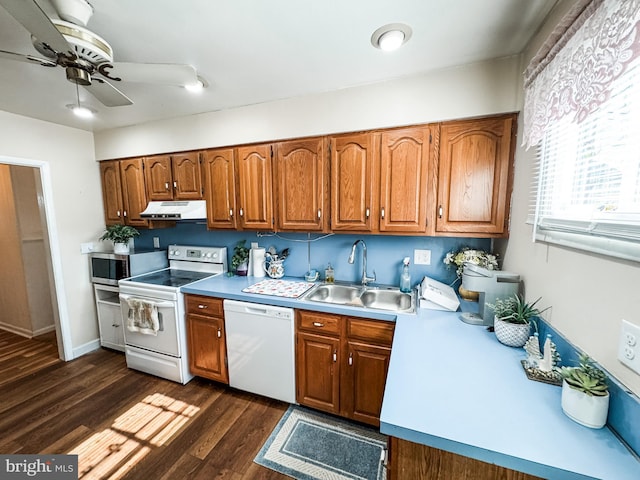 kitchen with under cabinet range hood, dark wood finished floors, brown cabinetry, white appliances, and a sink