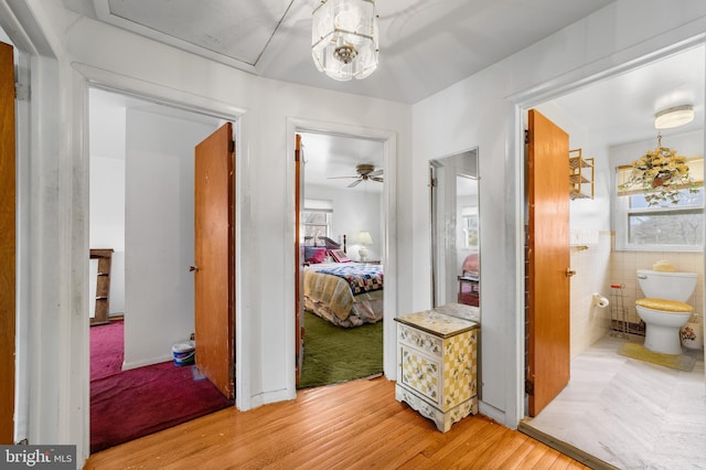 hallway with plenty of natural light, tile walls, light wood-style flooring, and wainscoting