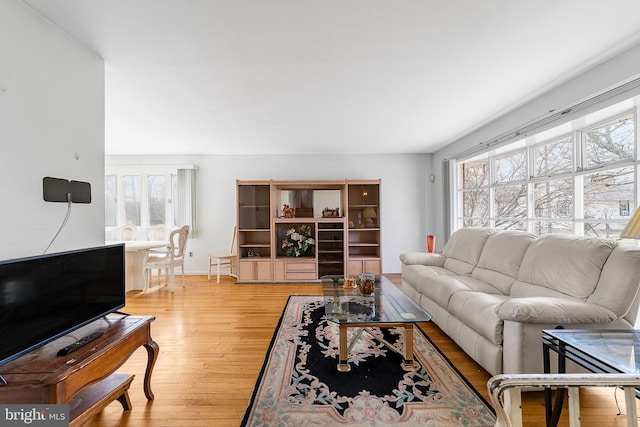 living area with light wood-style floors