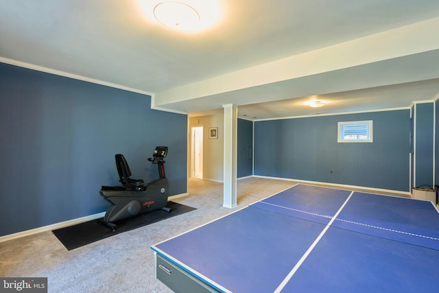 interior space with baseboards, carpet, and crown molding