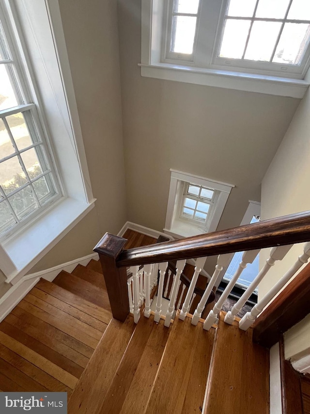 stairway with hardwood / wood-style flooring and baseboards