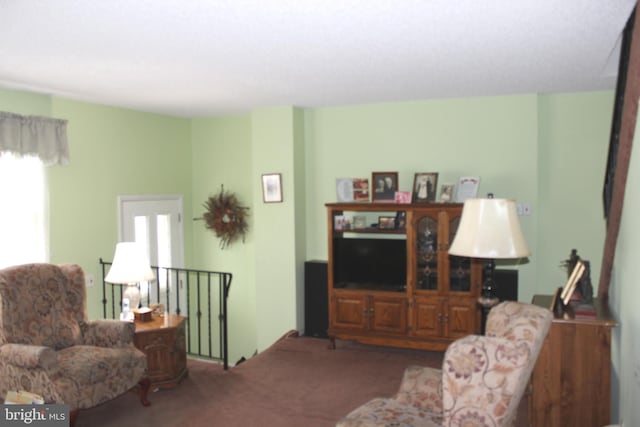 view of carpeted living area