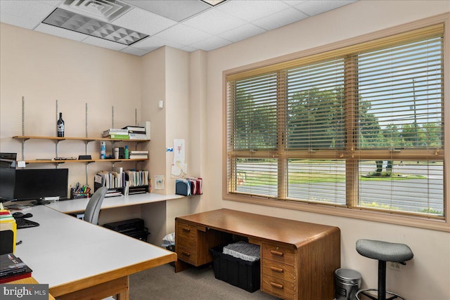 office area featuring carpet flooring, a healthy amount of sunlight, a paneled ceiling, and visible vents